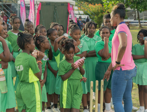 The Bat For A Chance 2025 Impact Report